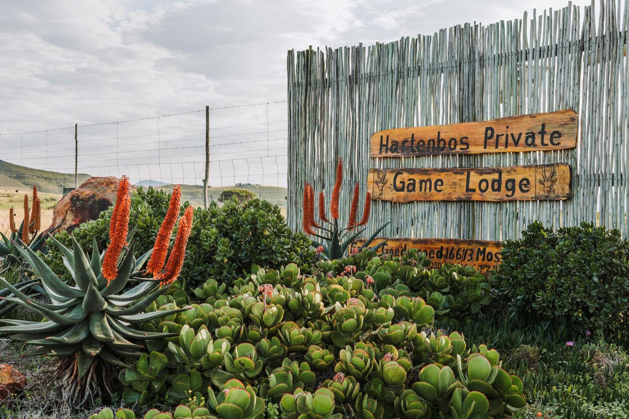 Hartenbos Private Game Lodge Екстер'єр фото