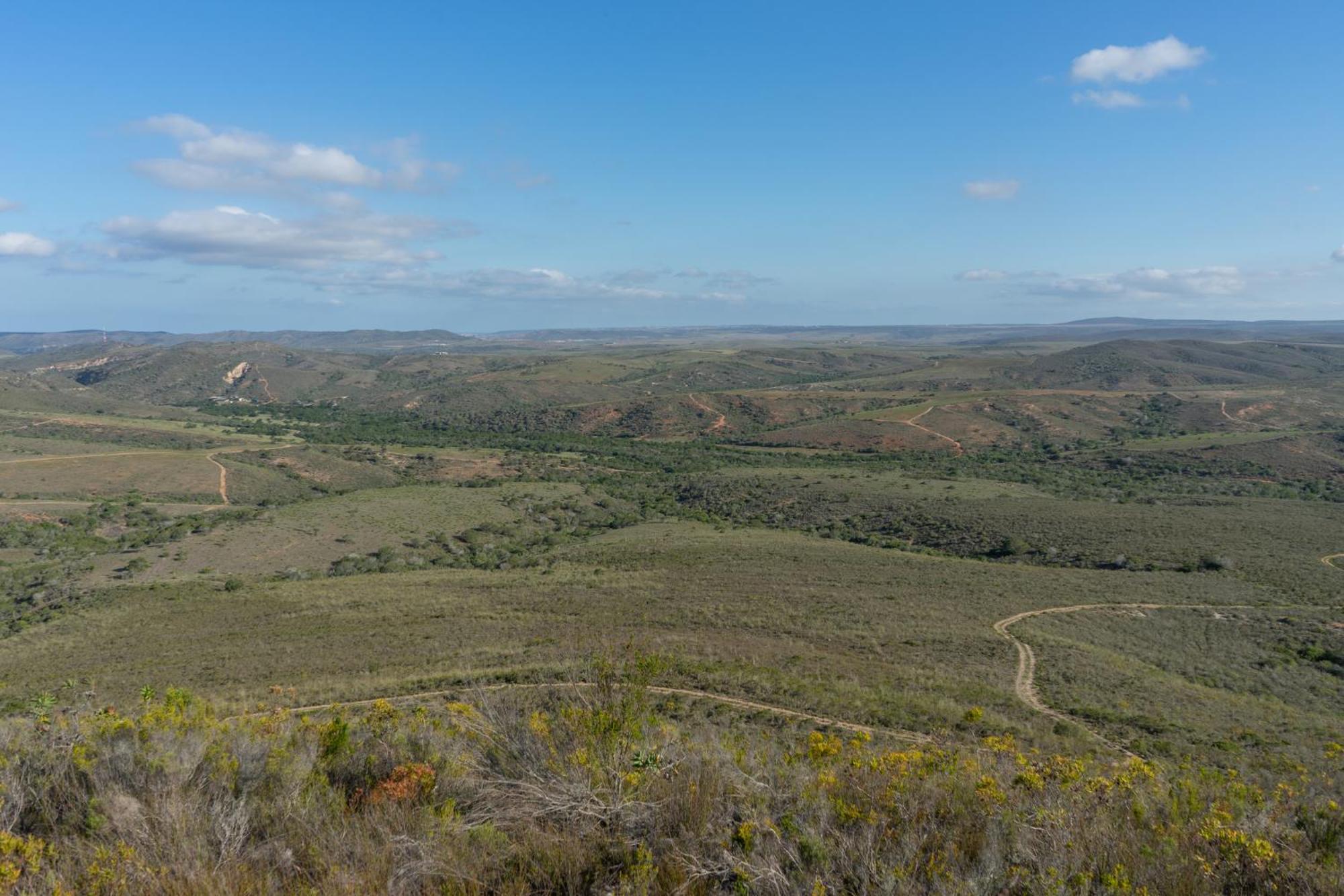 Hartenbos Private Game Lodge Екстер'єр фото