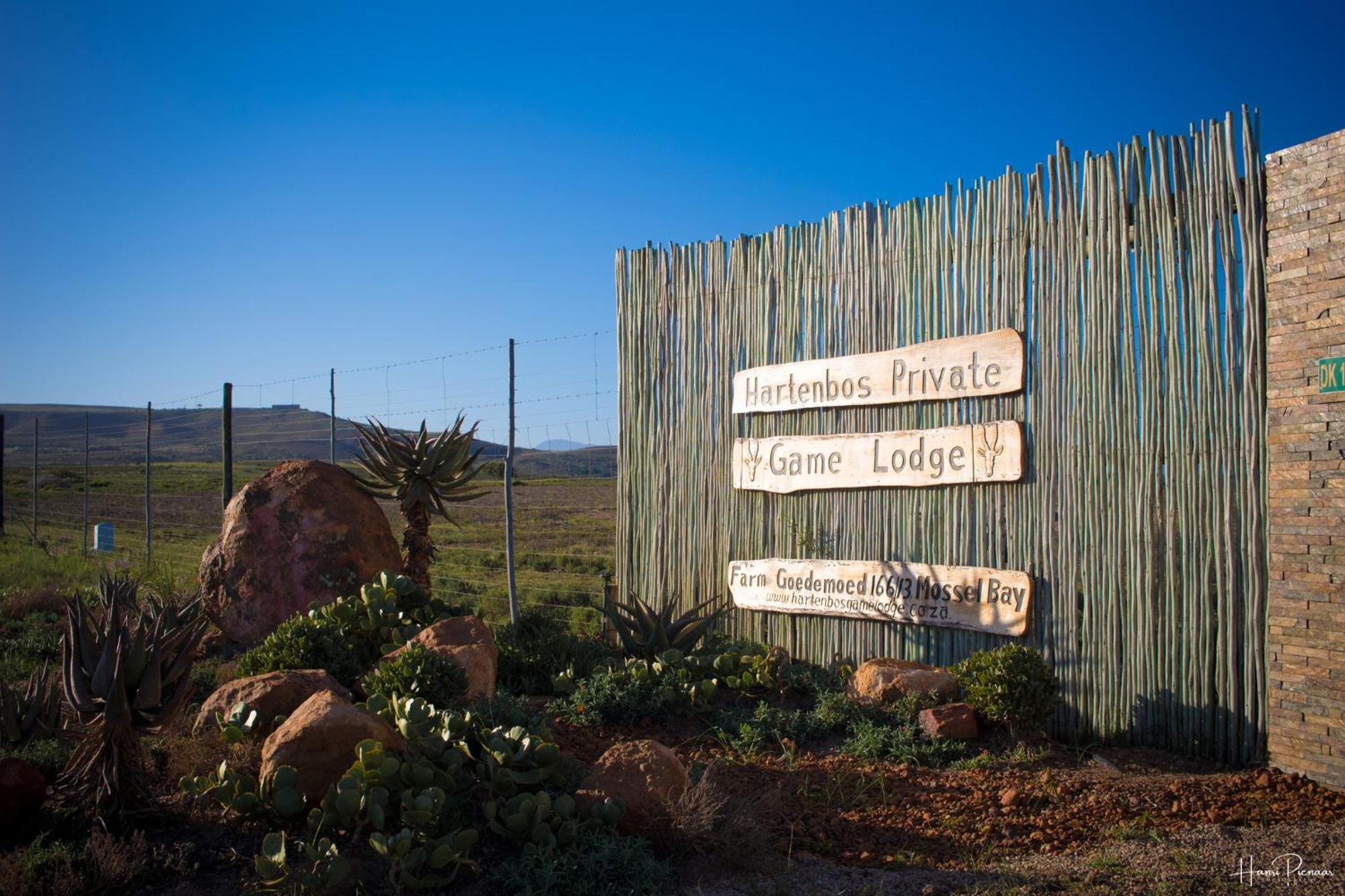 Hartenbos Private Game Lodge Екстер'єр фото