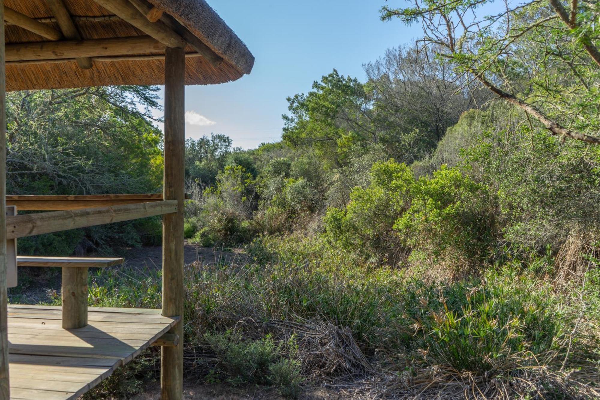 Hartenbos Private Game Lodge Екстер'єр фото