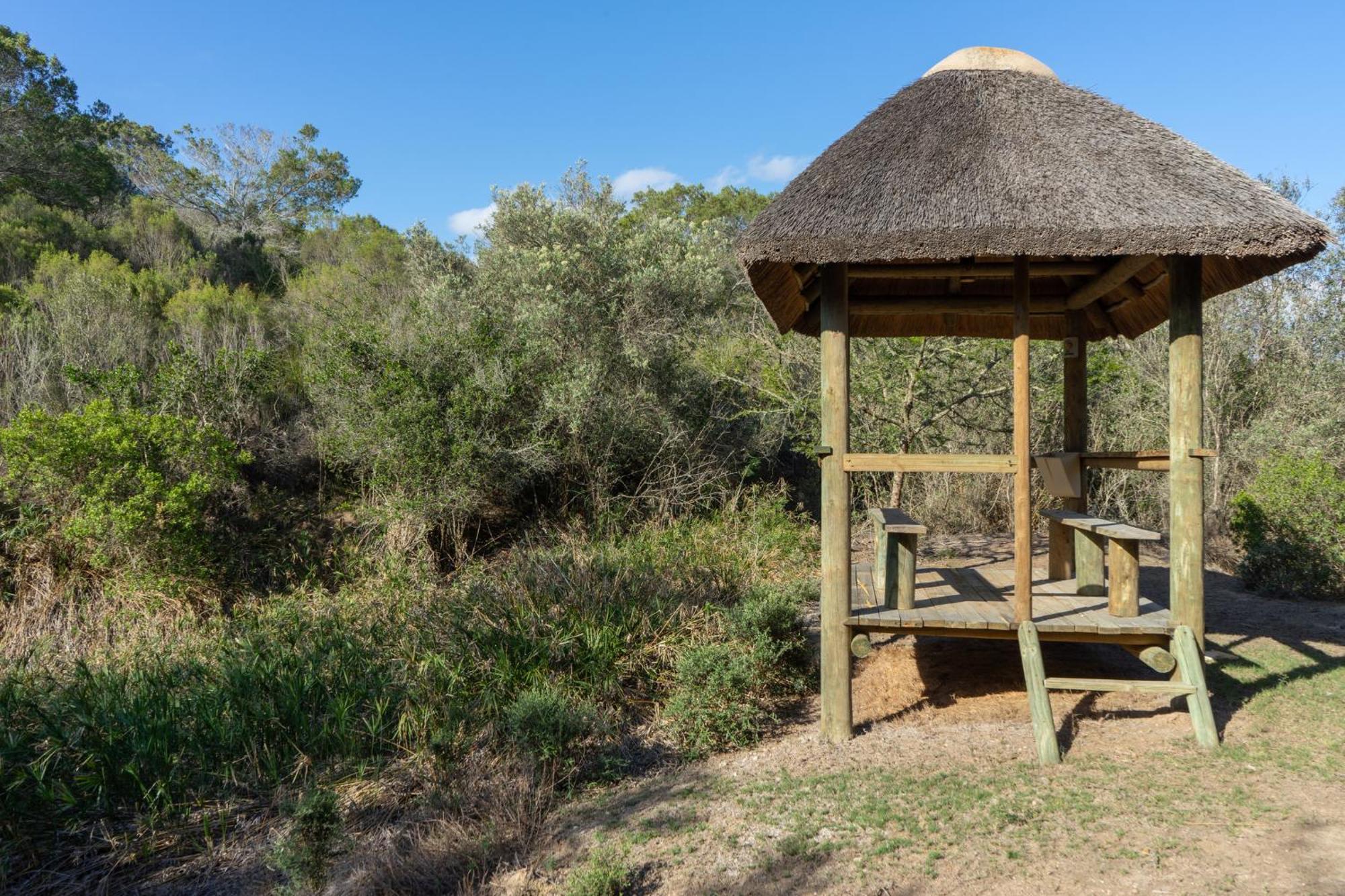 Hartenbos Private Game Lodge Екстер'єр фото