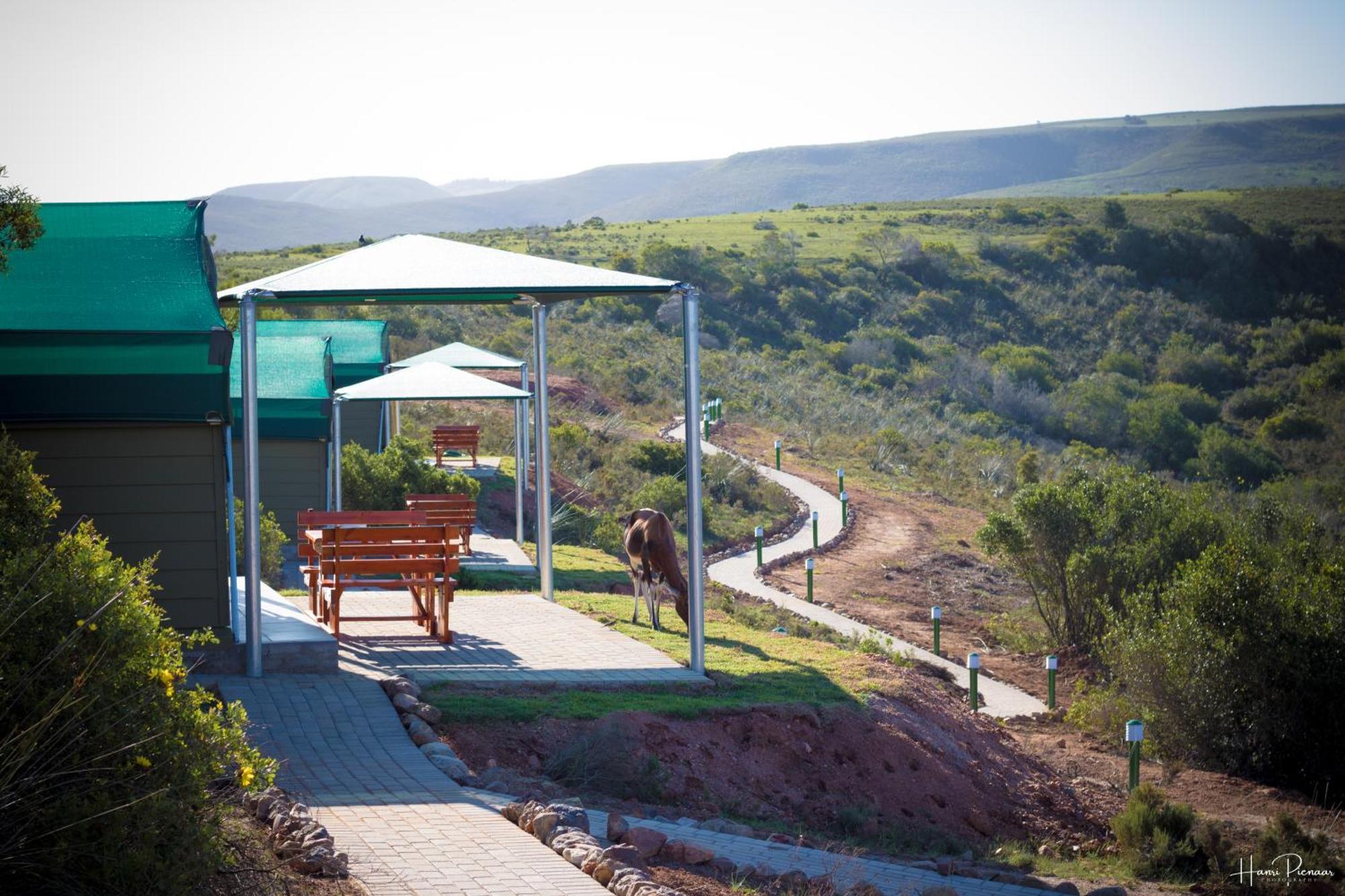 Hartenbos Private Game Lodge Екстер'єр фото